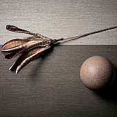1 (5)