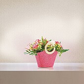 Flos_03