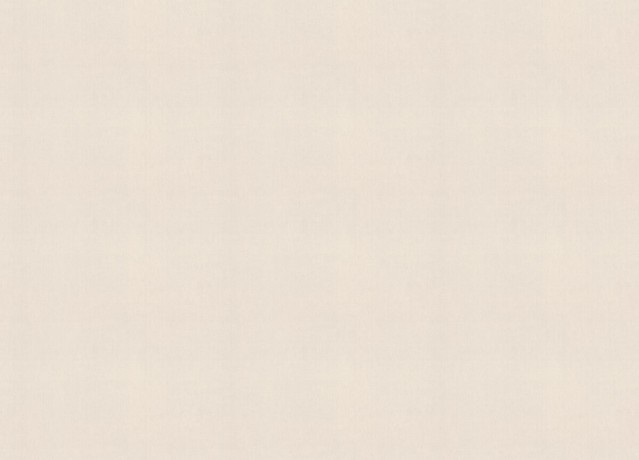 990317 Обои Rasch (Unitex) (1*6) 10,05x1,06 винил на флизелине