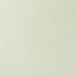 Обои FN26029 Parati&amp;Parati Uno 1.06x10