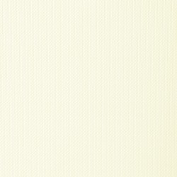 Обои FN26050 Parati&amp;Parati Uno 1.06x10
