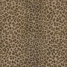 Обои Z80039 Zambaiti Philipp Plein 1.06x10.05